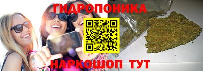 ешки Аргун