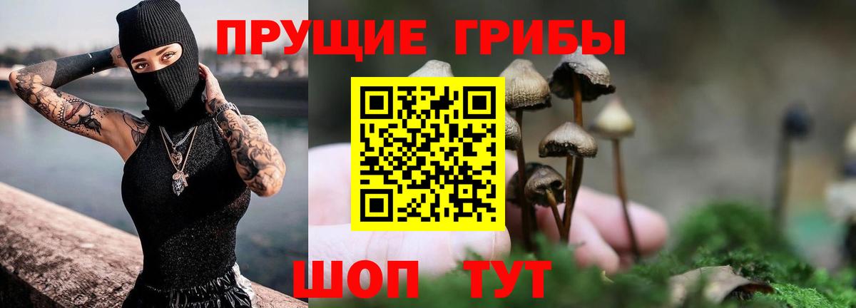 Псилоцибиновые грибы мухоморы Батайск